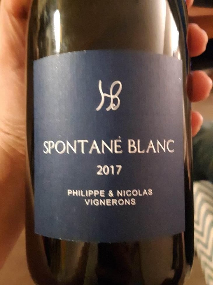 Spontané Blanc - Les Hauts Baigneux - Nicolas Grosbois & Philippe Mesnier 