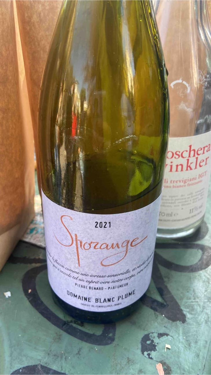 Sporange - Domaine Blanc Plume - Raphaël Colin 
