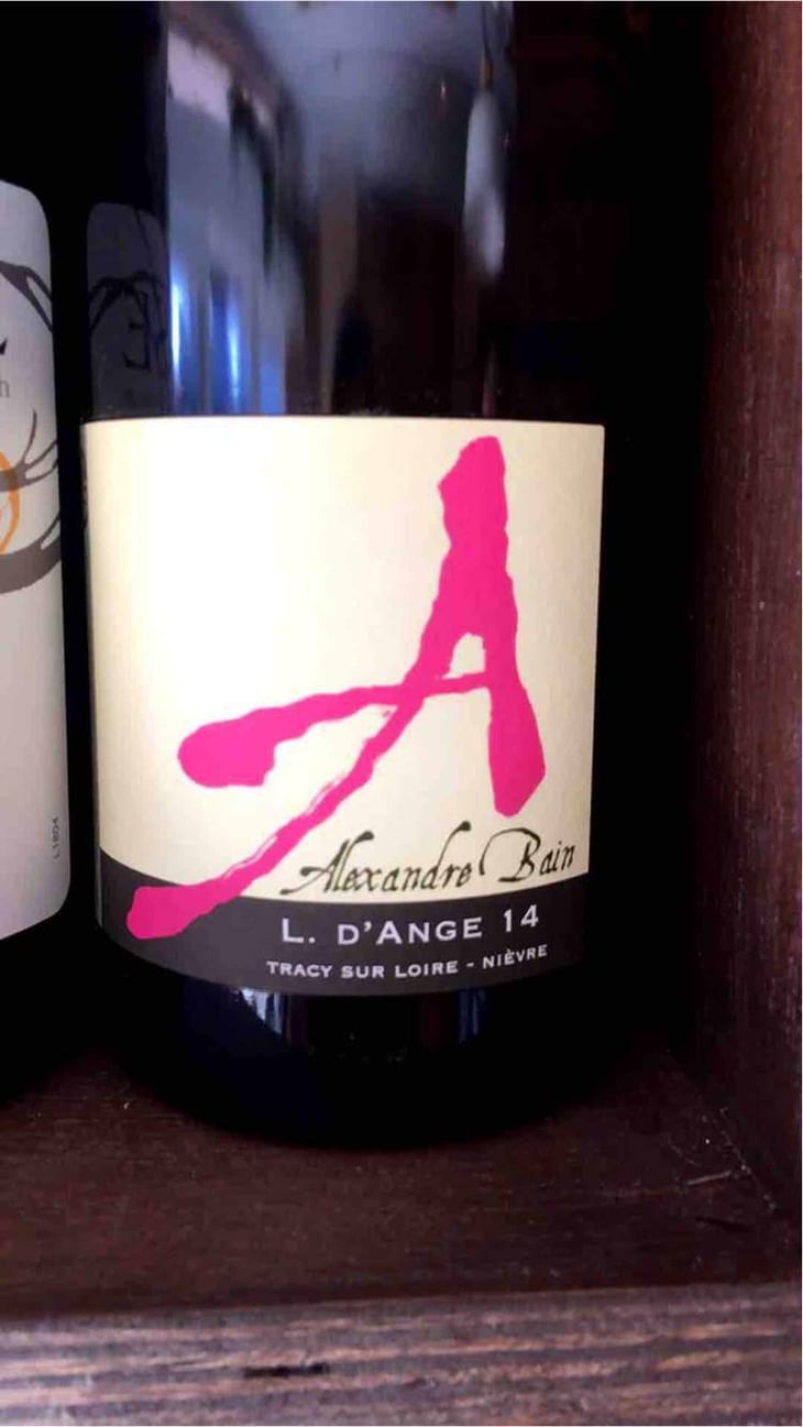 Spring - Domaine Alexandre Bain - Alexandre Bain 