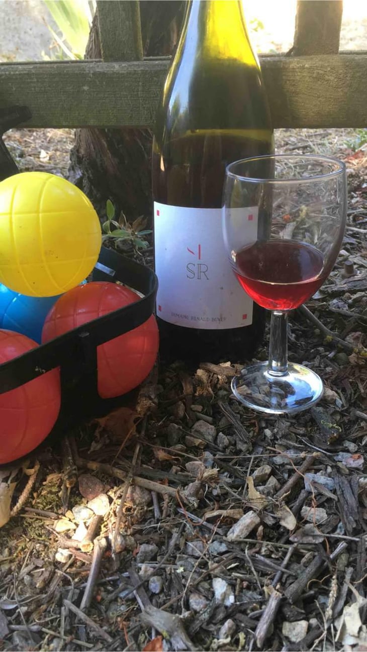 SR Rouge - Domaine Renaud Boyer - Renaud Boyer 