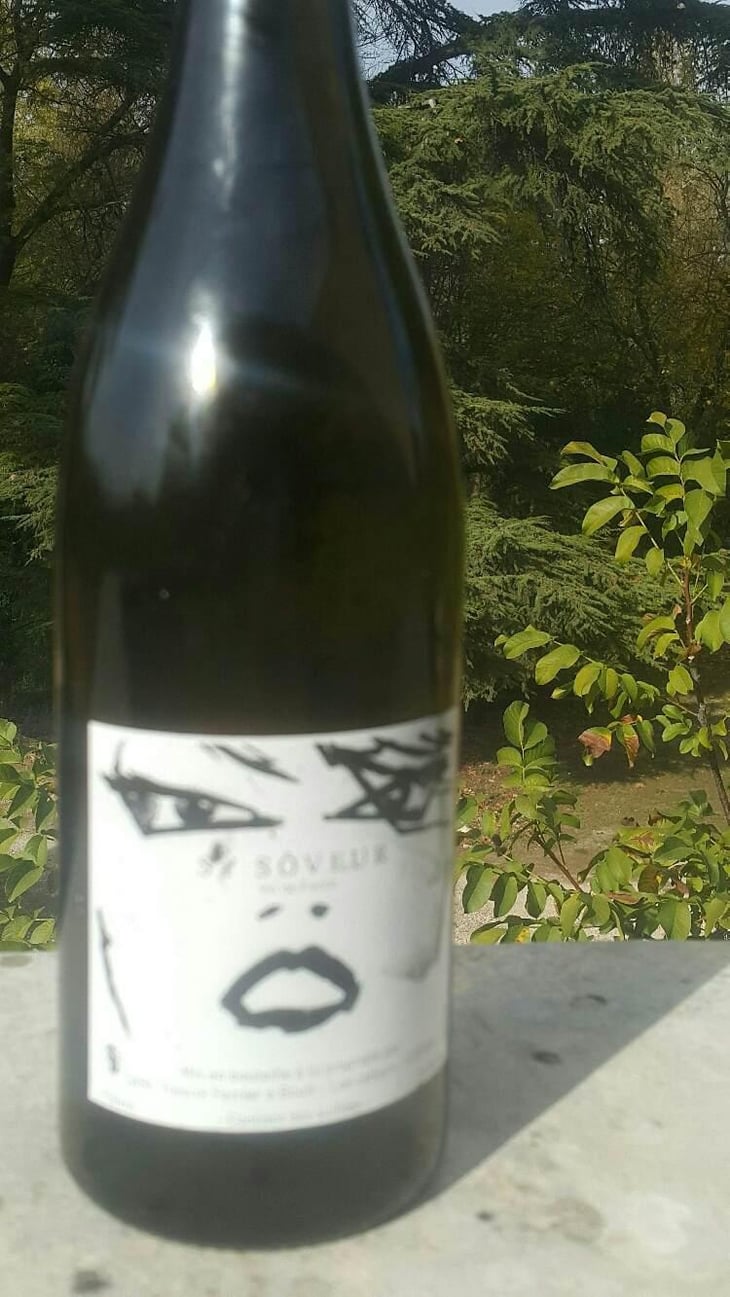 St Sôveur - Trescol é Bouit - Sandro Trescol & Jonathan Bouit 