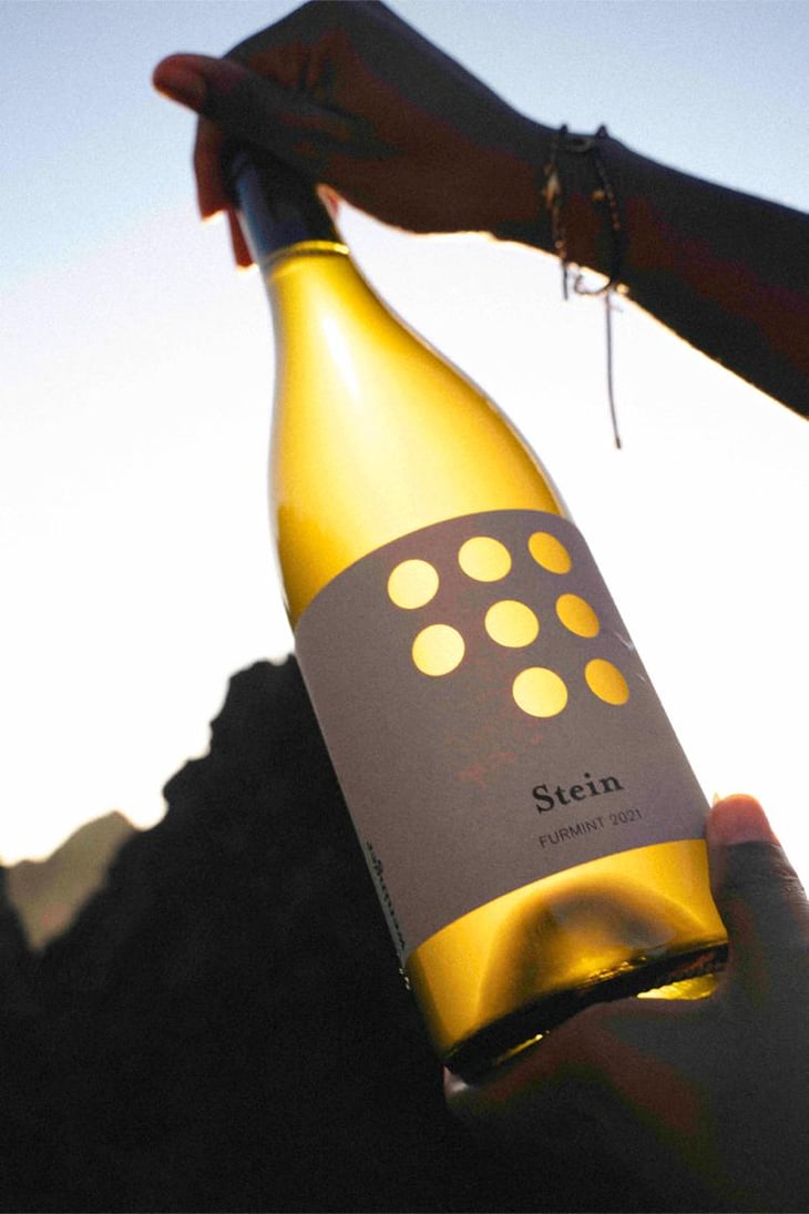 Steiner Furmint - Weingut Weninger (Austria) / Weninger Pincészet (Hungary) - Franz Weninger 