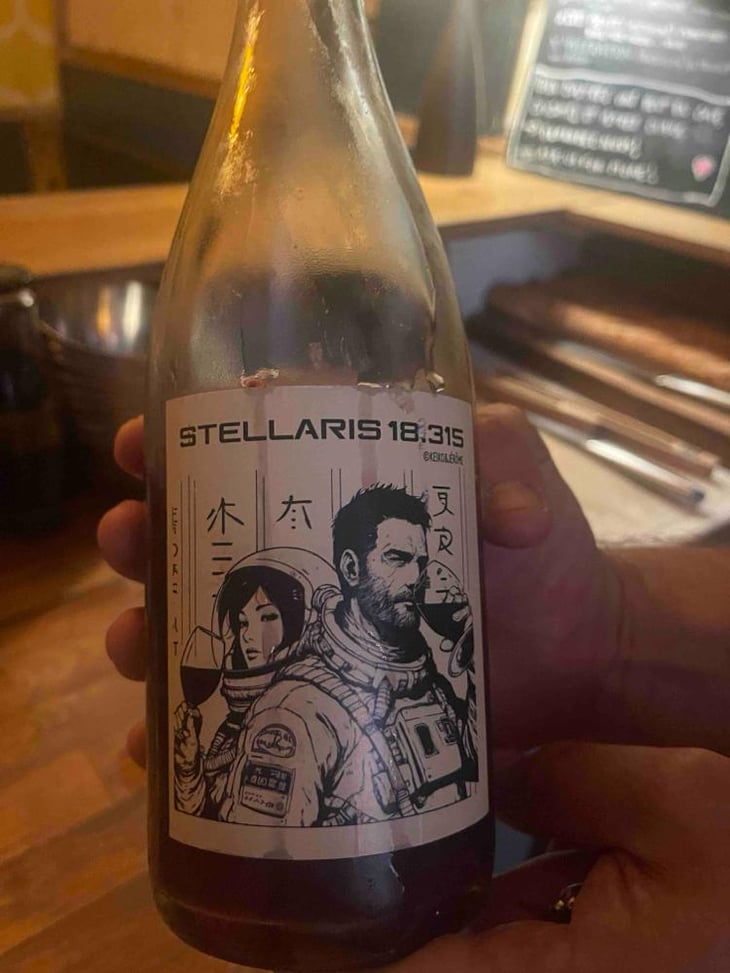 Stellaris 18 315 - Keiko & jérôme - Keiko Araki et Jérôme Deleuze -2023