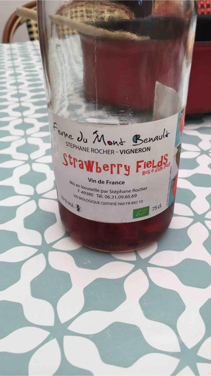 Strawberry Fields - Ferme du Mont Benault - Stéphane Rocher 