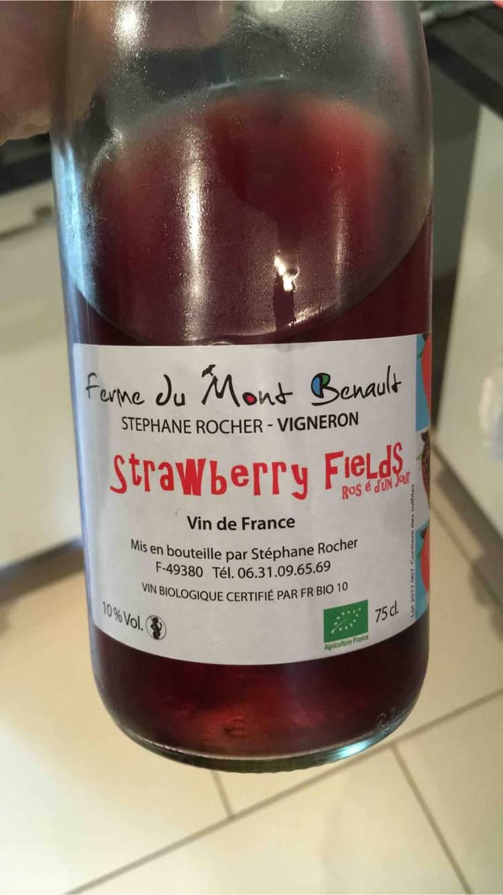 Strawberry Fields - Ferme du Mont Benault - Stéphane Rocher 