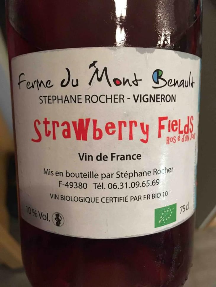 Strawberry Fields - Ferme du Mont Benault - Stéphane Rocher 