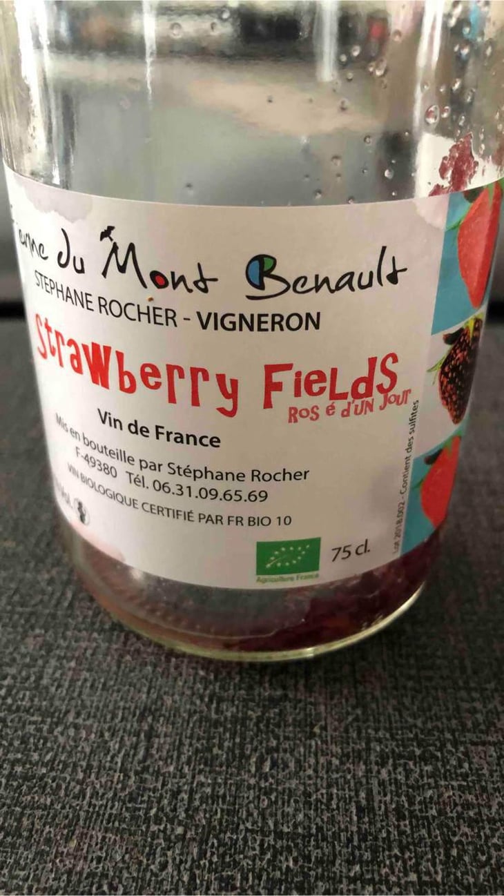 Strawberry Fields - Ferme du Mont Benault - Stéphane Rocher 