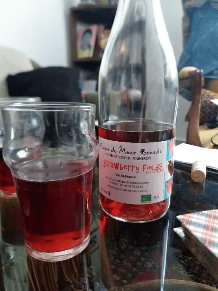 Strawberry Fields - Ferme du Mont Benault - Stéphane Rocher 