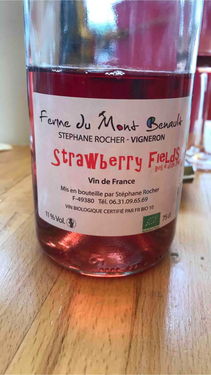 Strawberry Fields - Ferme du Mont Benault - Stéphane Rocher 