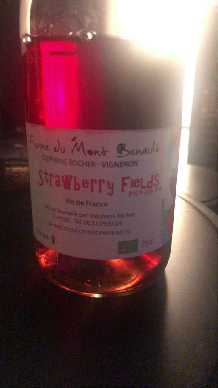 Strawberry Fields - Ferme du Mont Benault - Stéphane Rocher 