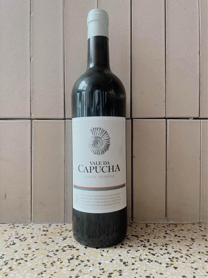 Vinha Teimosa - Vale da Capucha - Pedro Marques 