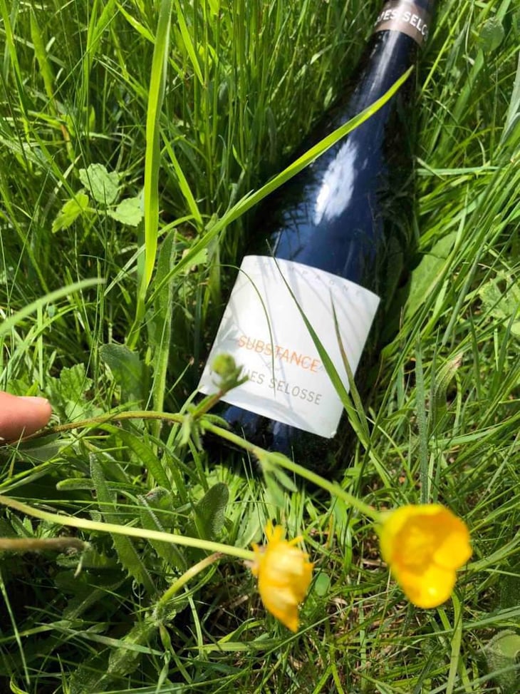 Substance - Champagne Jacques Selosse - Anselme Selosse 