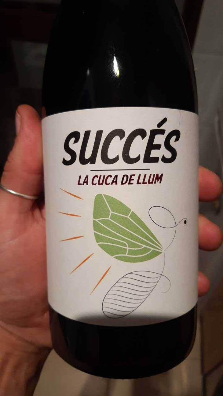 Succés - Conca De Barberà - La Cuba De Llum 