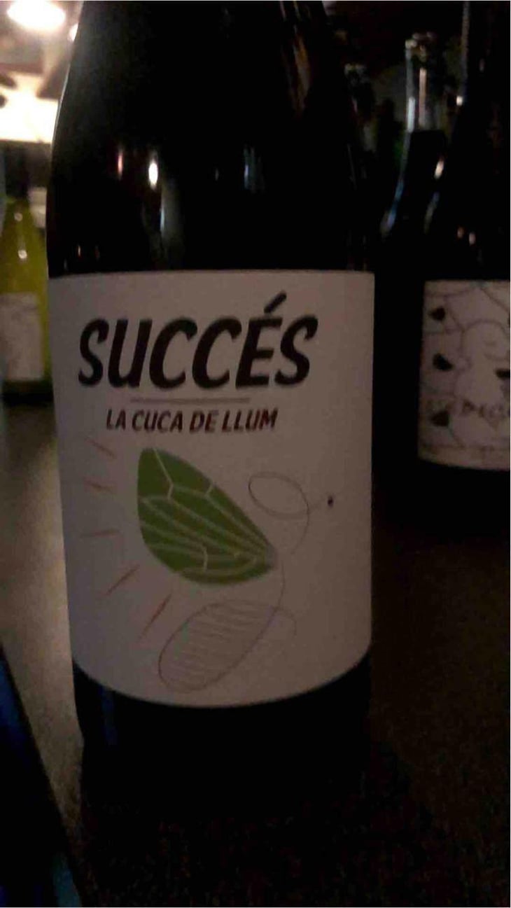 Succés - Conca De Barberà - La Cuba De Llum 