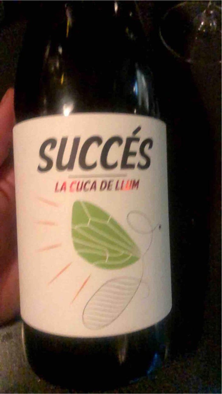 Succés - Conca De Barberà - La Cuba De Llum 