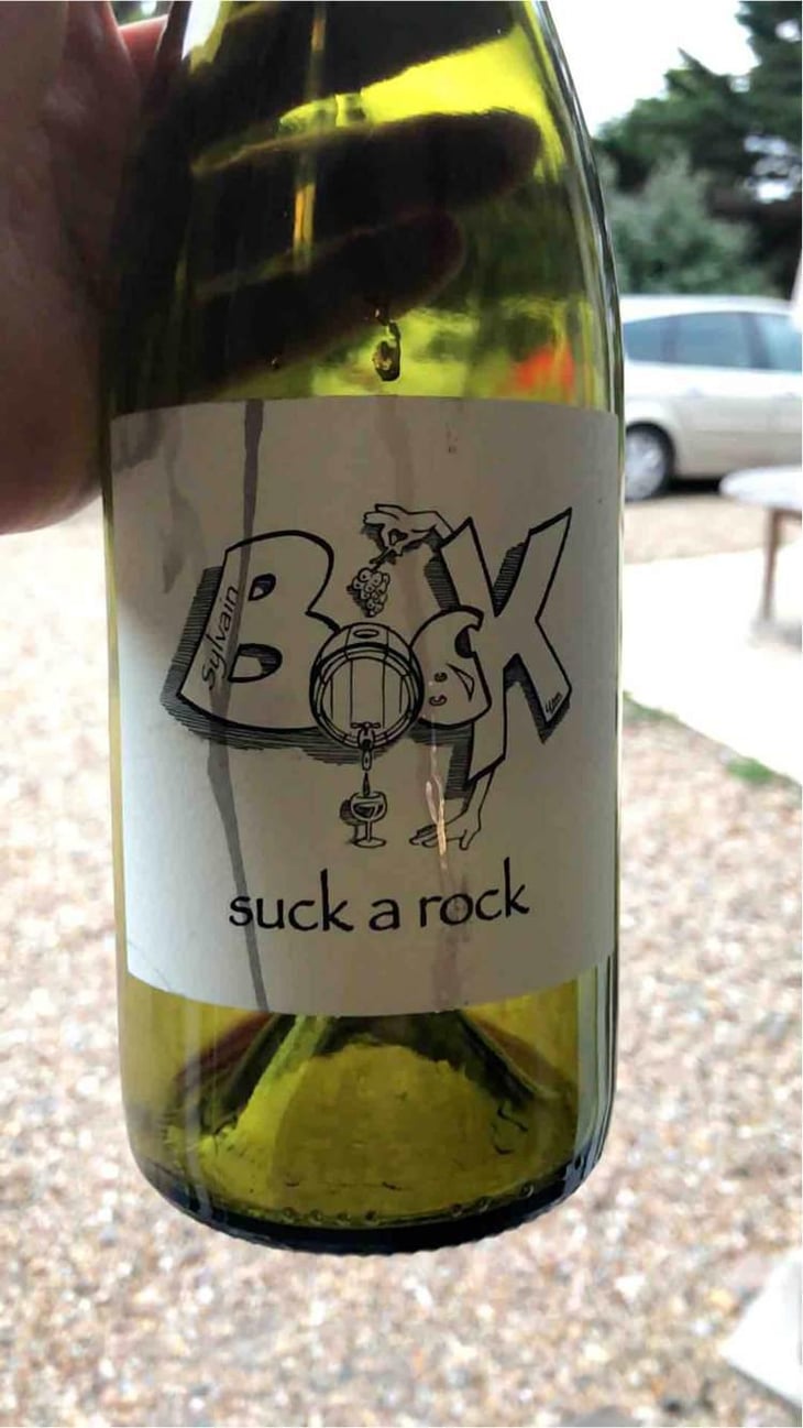 suck a rock - Sylvain Bock - Sylvain Bock 