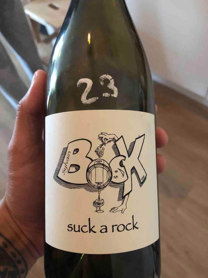 suck a rock - Sylvain Bock - Sylvain Bock 