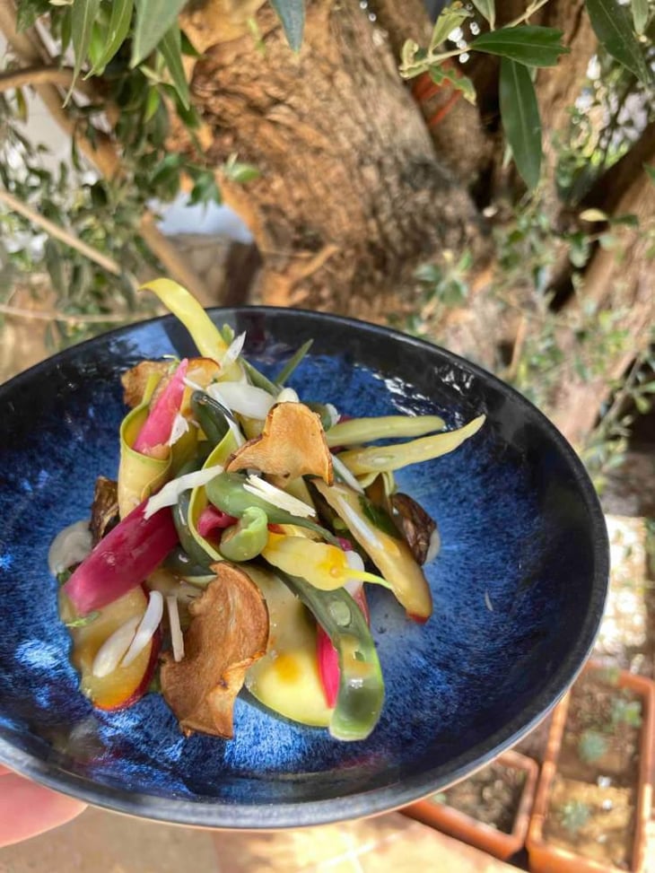 Summer Salad - Fermento Food & Wine - 498543