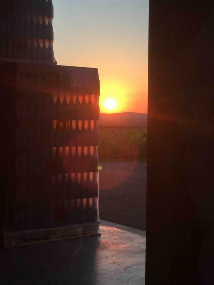 Sunset -  - 37930