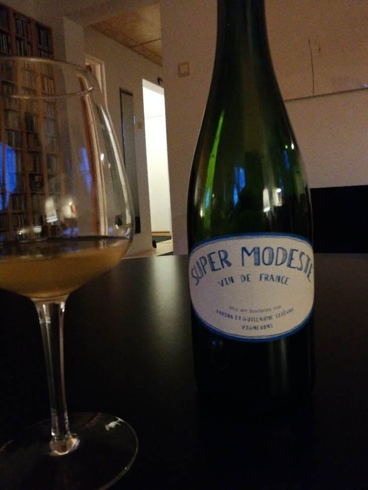 Super Modeste - Domaine de Sulauze - Karina & Guillaume Lefèvre 