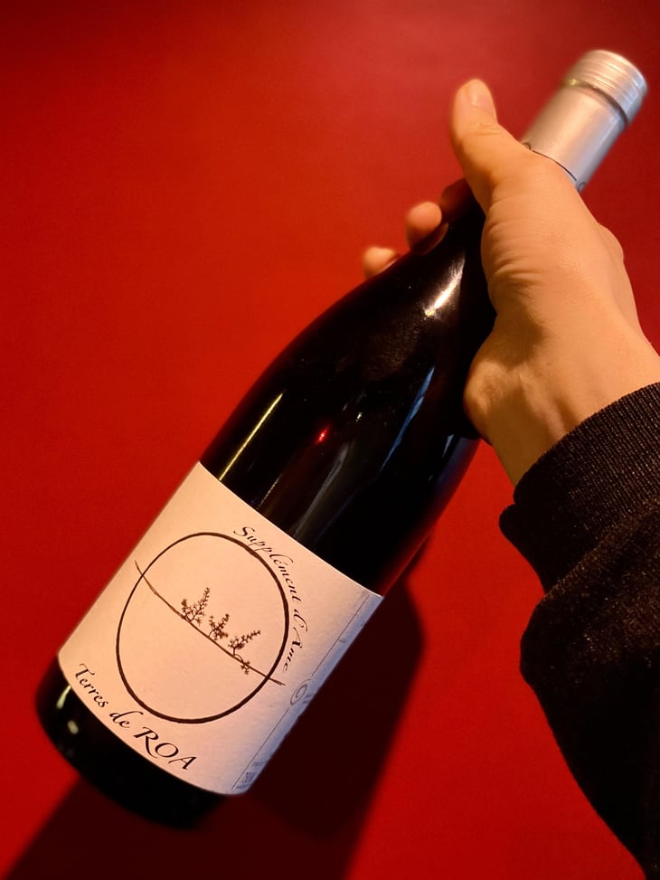 Supplément d'Âme - Vignoble des Vernusses - Loren PETIT -2022