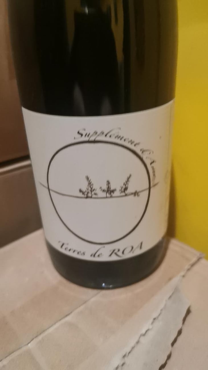 Supplément d'Âme - Vignoble des Vernusses - Loren PETIT -2022