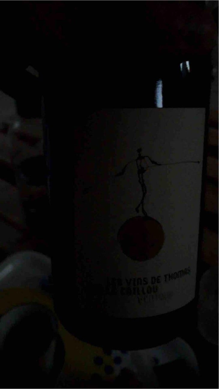 Sur Le Caillou - La Ferme Saint-Martin - Les Vins de Thomas - Sophie & Thomas Jullien 