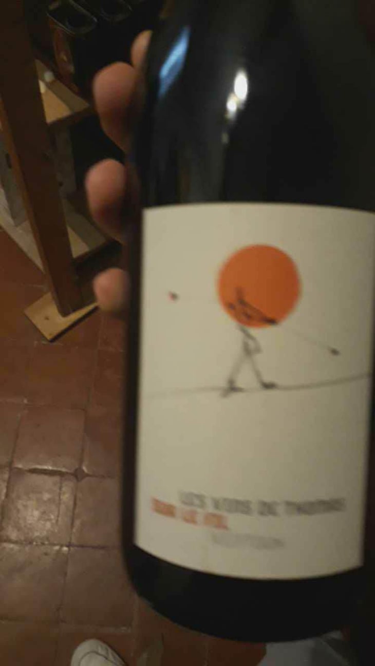 Sur Le Fil - La Ferme Saint-Martin - Les Vins de Thomas - Sophie & Thomas Jullien 