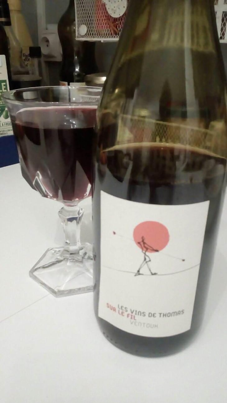 Sur Le Fil - La Ferme Saint-Martin - Les Vins de Thomas - Sophie & Thomas Jullien 
