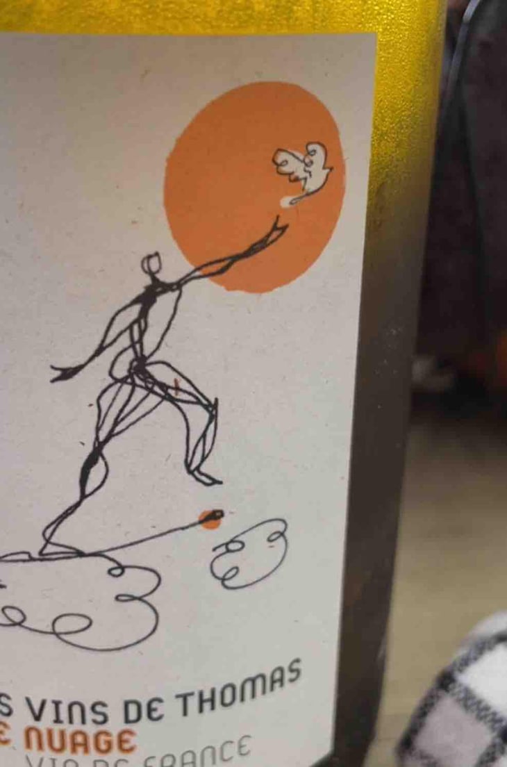 Sur Le Nuage - La Ferme Saint-Martin - Les Vins de Thomas - Sophie & Thomas Jullien 