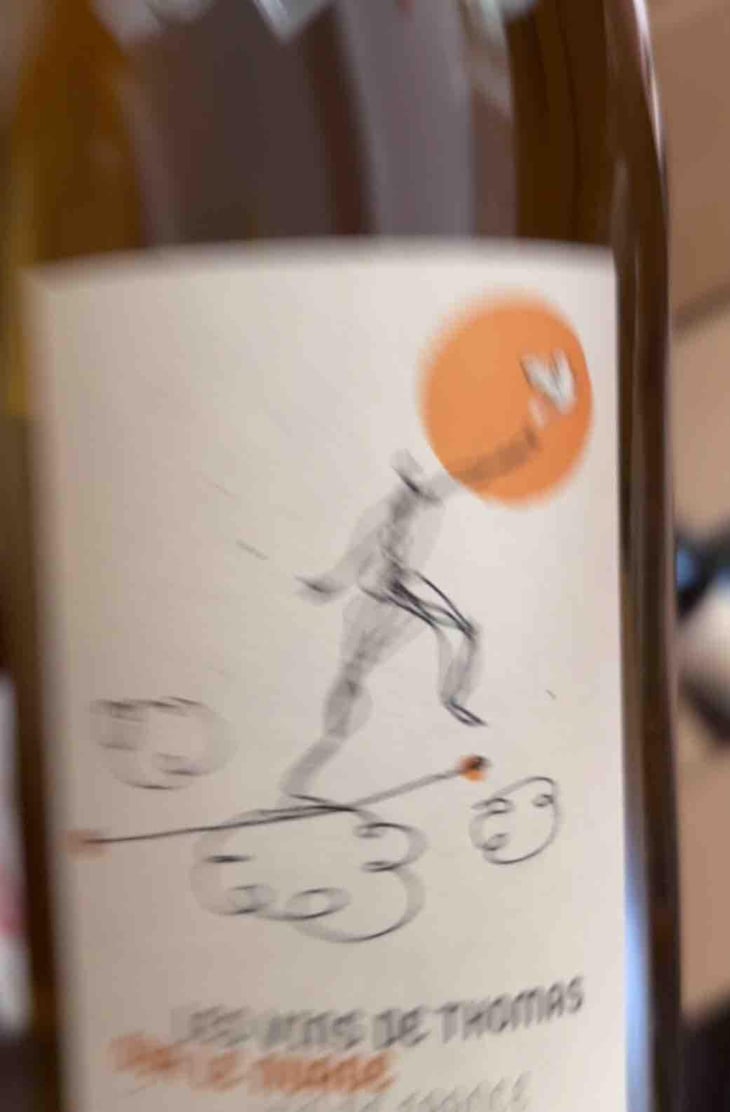 Sur Le Nuage - La Ferme Saint-Martin - Les Vins de Thomas - Sophie & Thomas Jullien 