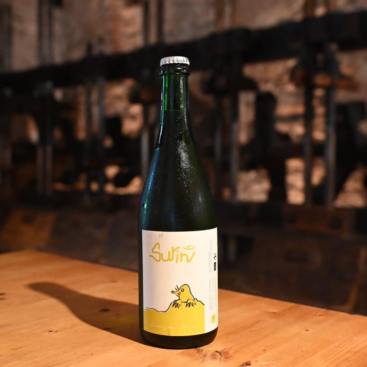 Surin - Domaine La Taupe - Nicole Messer & Bertjan Mol 