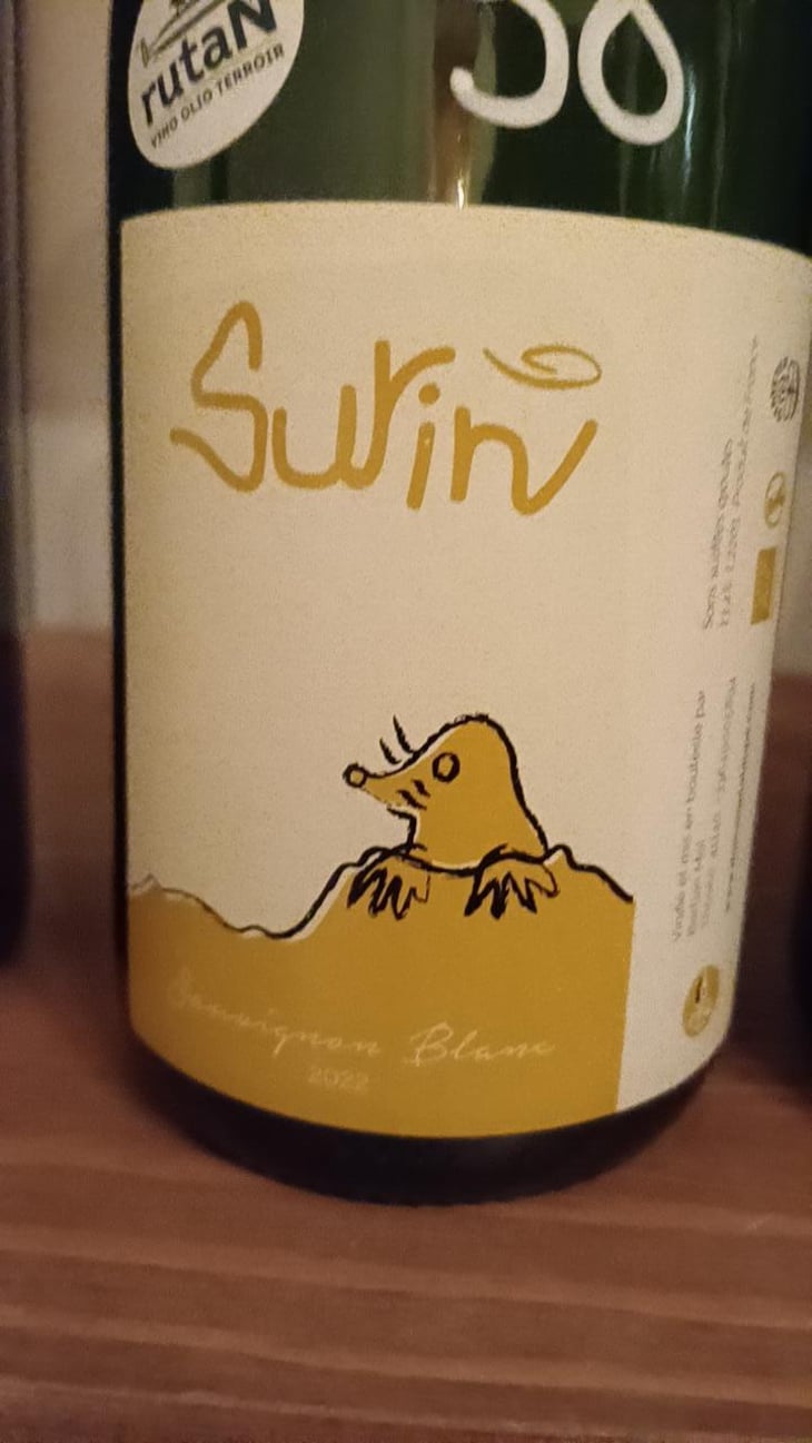 Surin - Domaine La Taupe - Nicole Messer & Bertjan Mol 