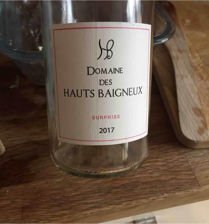 Surprise - Les Hauts Baigneux - Nicolas Grosbois & Philippe Mesnier 