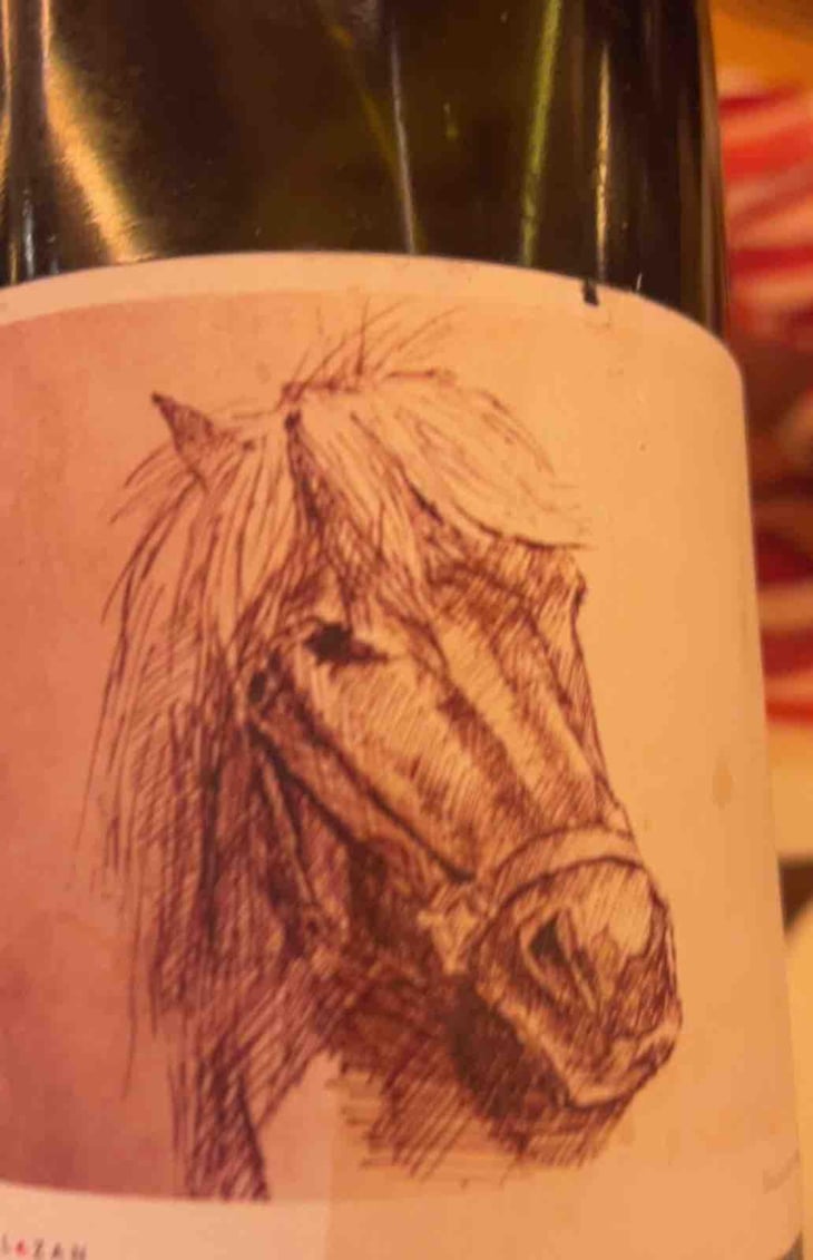Suspens - Domaine de l'Alezan - Remi & Patricia Bonneton 