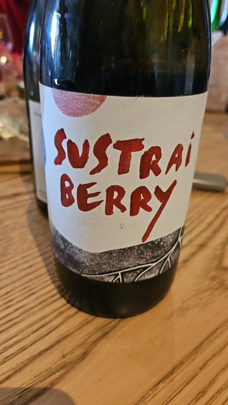 Sustrai Berry - Bodegas Aristu - Ibon Ollo -2021