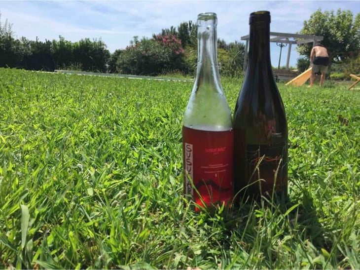 Susucaru Rosato - Azienda Agricola Frank Cornelissen - Frank Cornelissen -2020