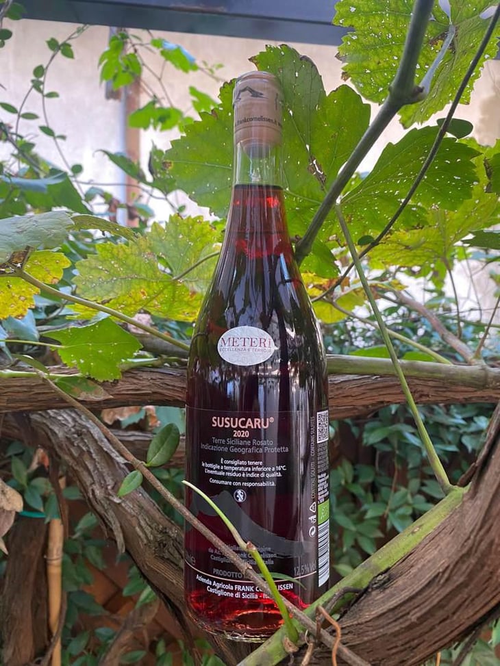 Susucaru Rosato - Azienda Agricola Frank Cornelissen - Frank Cornelissen -2020