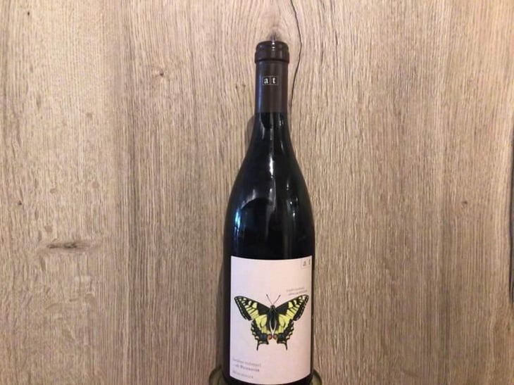 Schwalbenschwanz - Muskateller Maischevergoren - Weingut Andreas & Elisabeth Tscheppe - Andreas & Elisabeth Tscheppe 