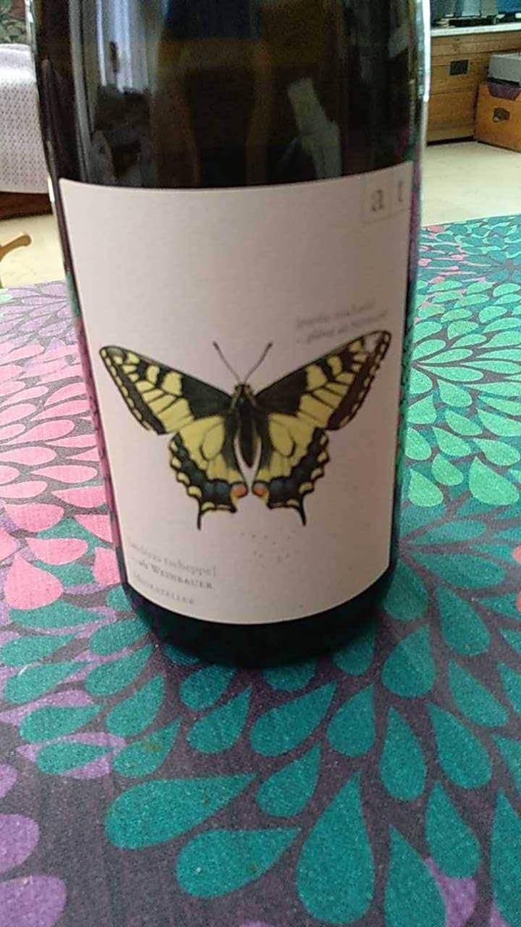 Schwalbenschwanz - Muskateller Maischevergoren - Weingut Andreas & Elisabeth Tscheppe - Andreas & Elisabeth Tscheppe 