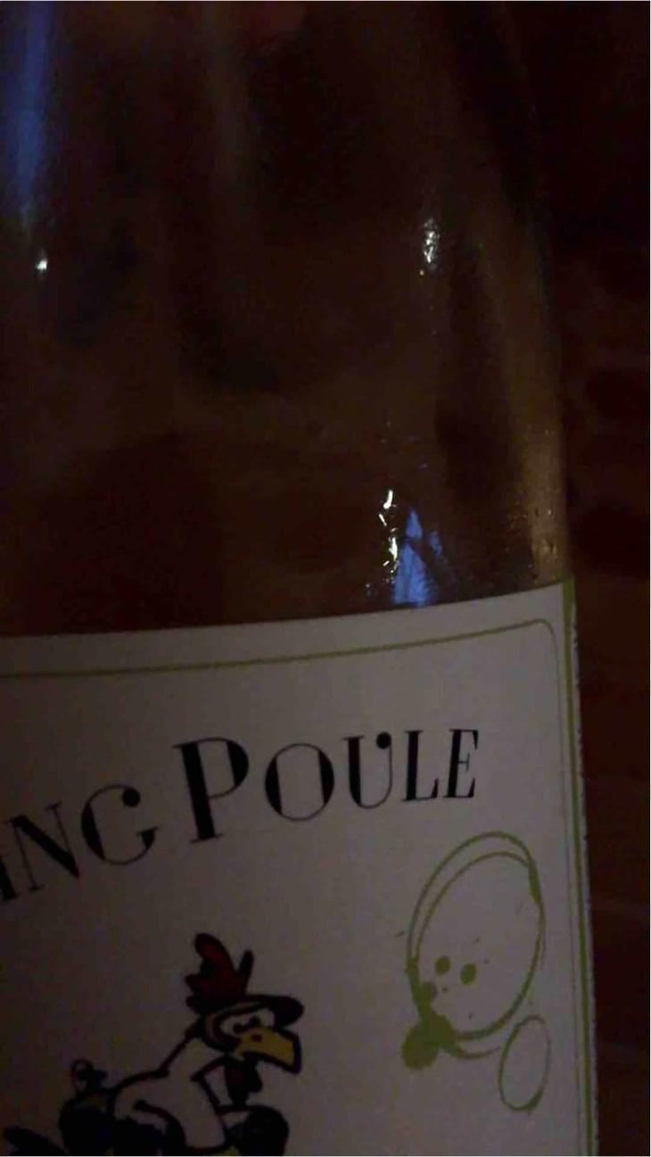 Swimming Poule - P-U-R (Production Unique Rebelle) - Florian Looze 