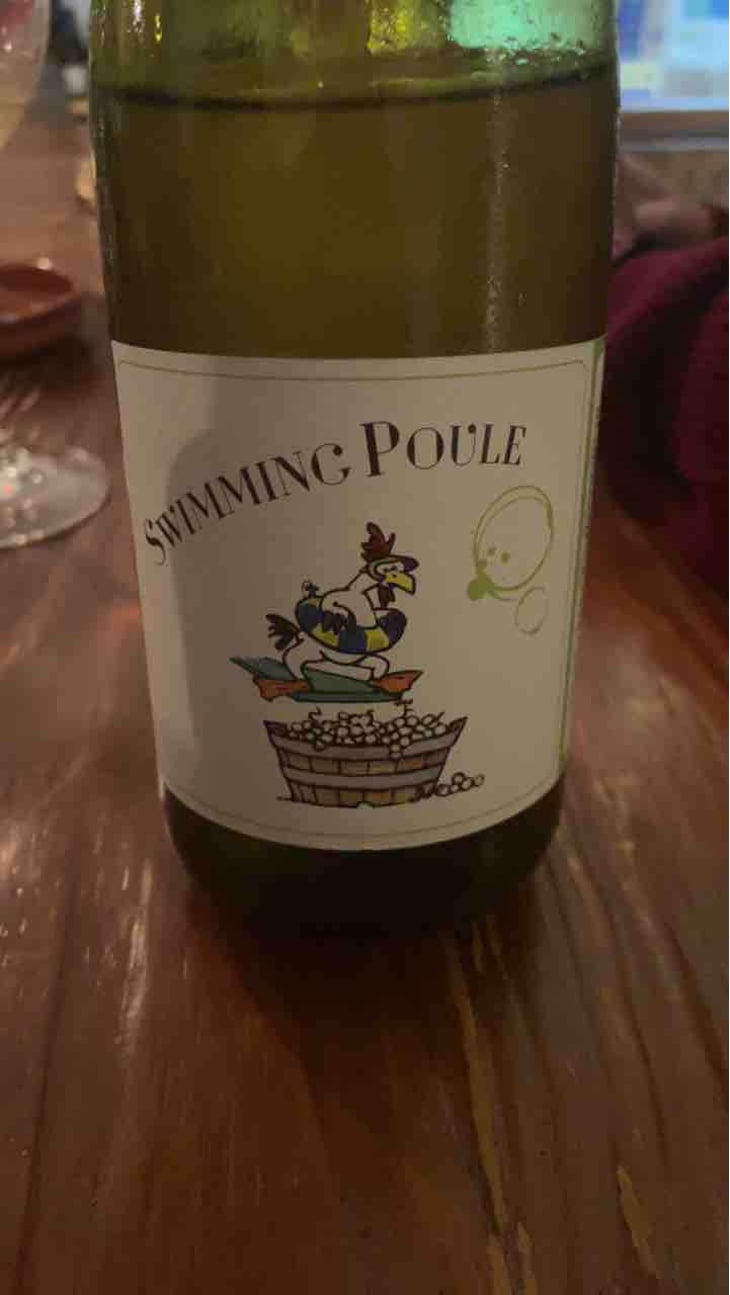 Swimming Poule - P-U-R (Production Unique Rebelle) - Florian Looze 