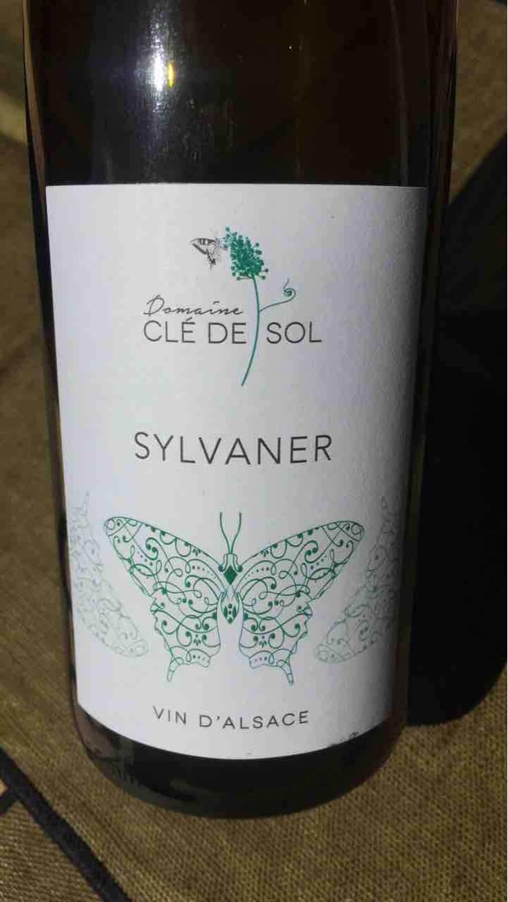Sylvaner - Domaine Clé de Sol - Jean & Simon Baltenweck & Yannick Mignot 