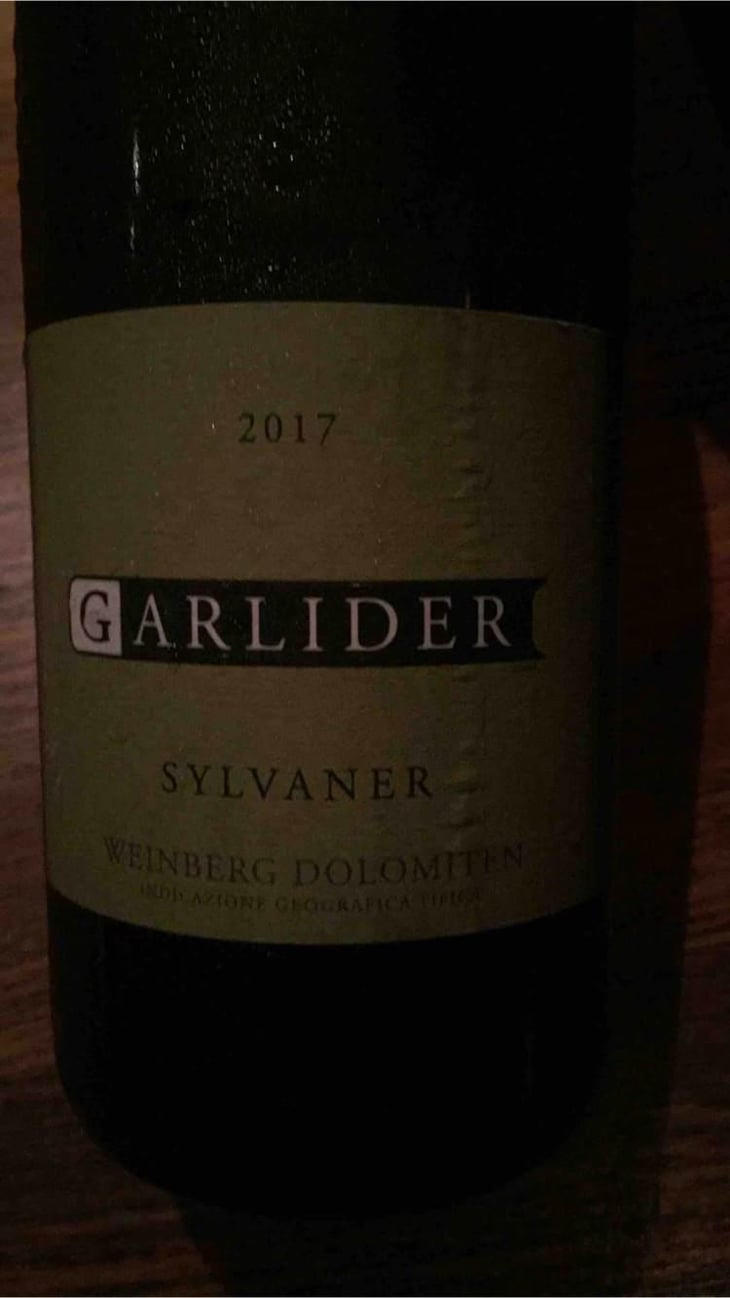 Sylvaner - Weingut Garlider - Christian Kerschbaumer 