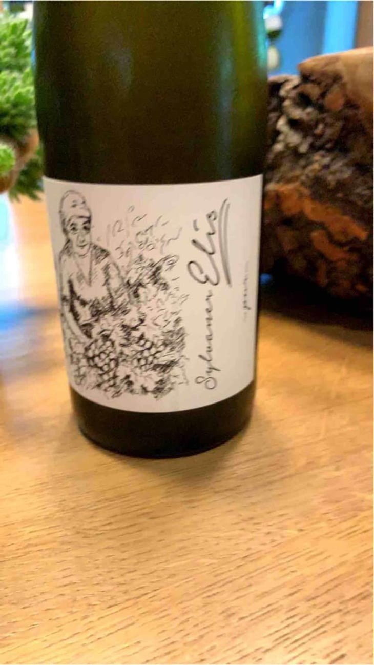Sylvaner Elis - Brand Bros - Weingut Brand - Daniel & Jonas Brand 
