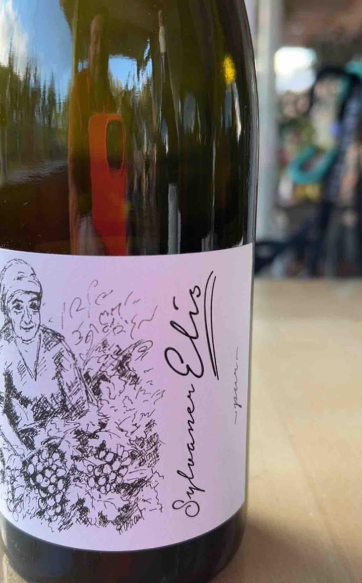 Sylvaner Elis - Brand Bros - Weingut Brand - Daniel & Jonas Brand 