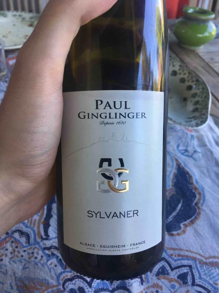 Sylvaner - Jean Ginglinger & Fils - Jean-Francois Ginglinger 