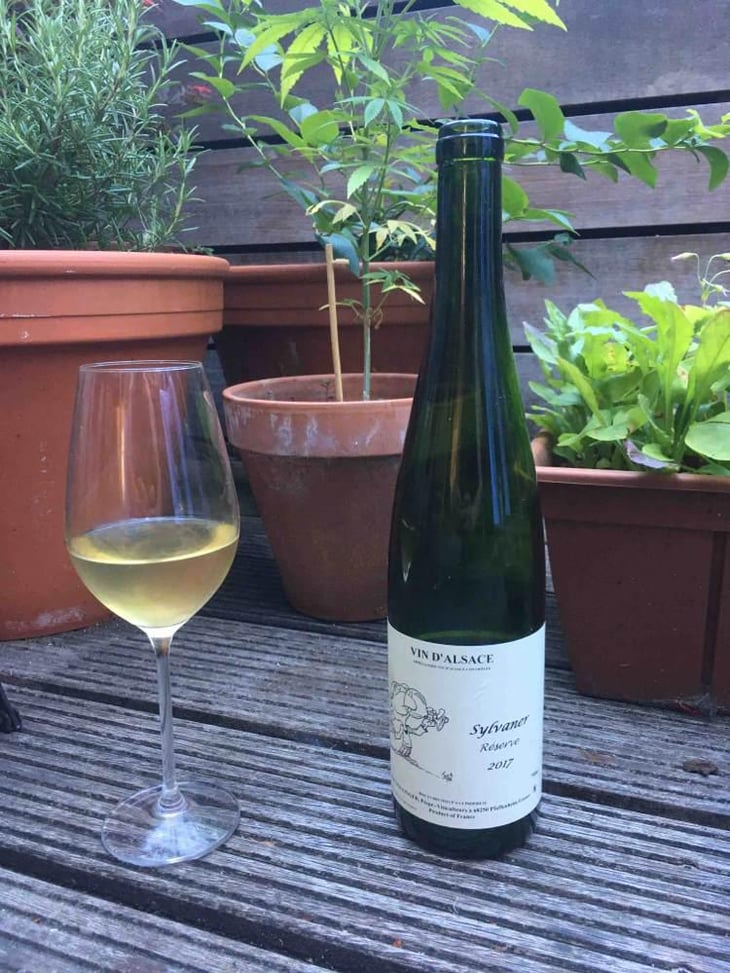 Sylvaner - Jean Ginglinger & Fils - Jean-Francois Ginglinger 