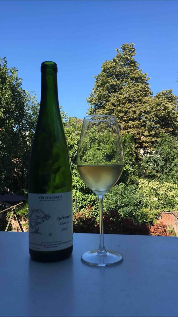 Sylvaner - Jean Ginglinger & Fils - Jean-Francois Ginglinger 
