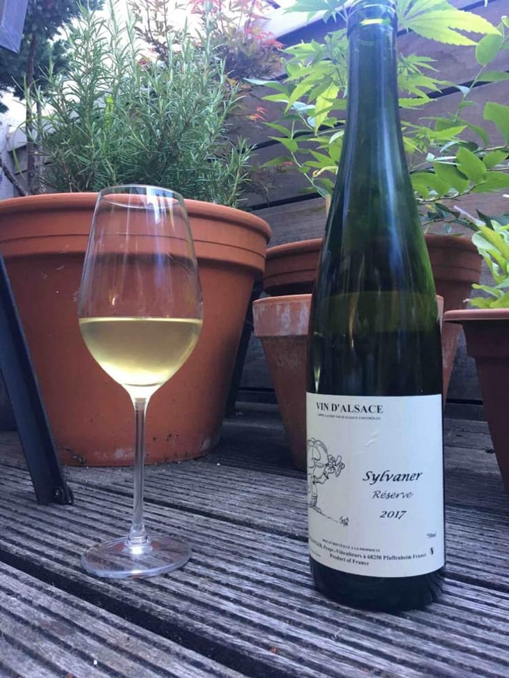 Sylvaner - Jean Ginglinger & Fils - Jean-Francois Ginglinger 